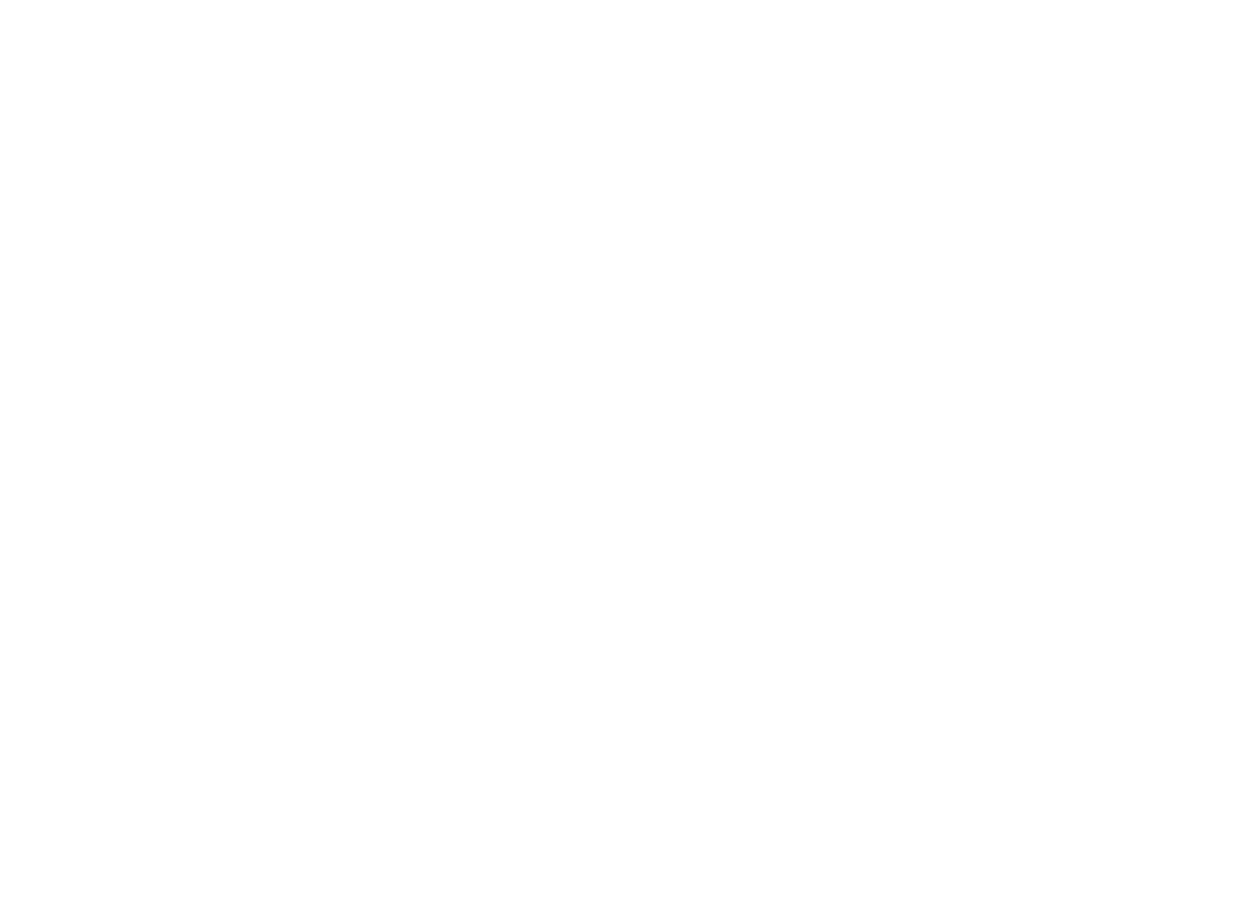 All N One Pest Eliminators