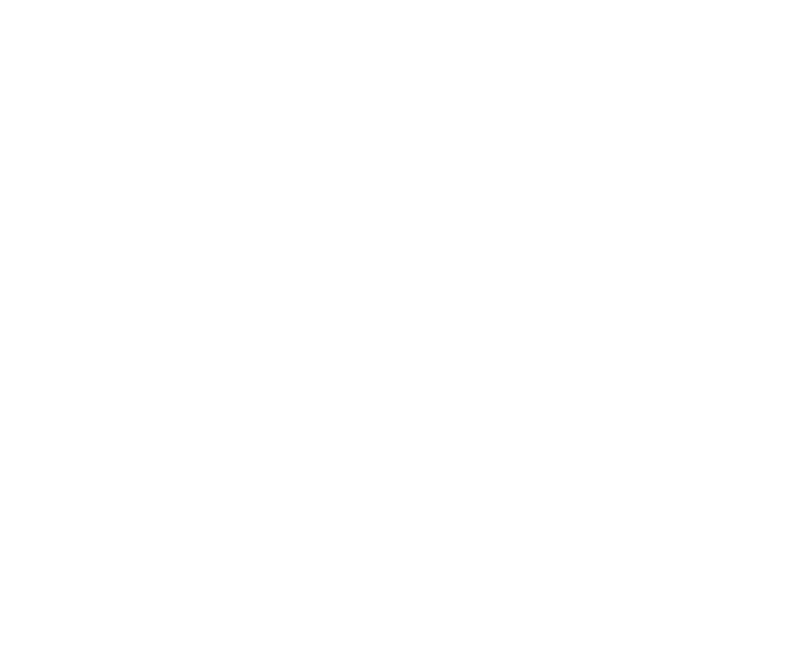All N One Pest Eliminators