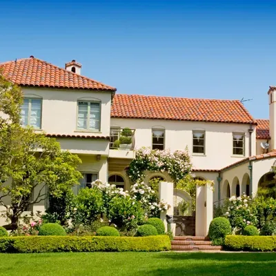 Pest Control - Pest Free Home